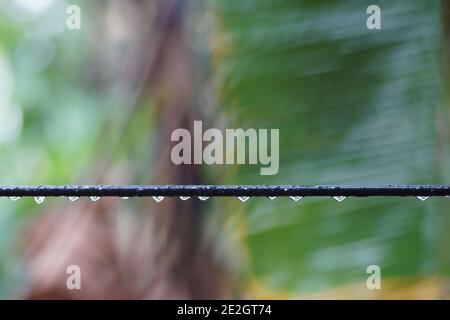 Gocce d'acqua sulla linea del cavo Foto Stock