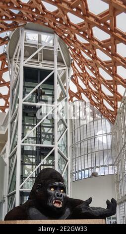 Francia, città di Metz, il Centre Pompidou-Metz è un'istituzione pubblica di cooperazione culturale d'arte, di stili. Questa statua di King-Kong 11 m di altezza era Foto Stock