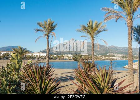 Spiaggia di Puerto Banús, Marbella, con il Monte Concha alle spalle, Costa del sol, stagione invernale, Andalusia, Spagna. Foto Stock