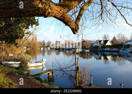 Il lungofiume e il Tamigi a Shepperton in una fredda giornata di inverni soleggiati, Surrey England UK Foto Stock