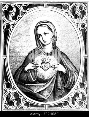 Cuore della Vergine Maria. Incisione cristiana vintage o disegno a linee. Illustrazione Vettoriale