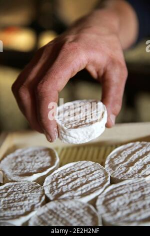 Rocamadour DOP: Formaggio Cabecou stagionato, pronto per la vendita, formaggio di capra non pastorizzato, prodotto in un caseificio Foto Stock