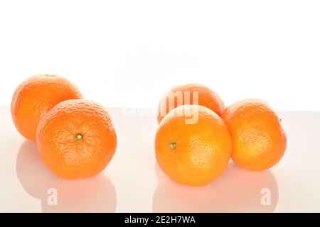 Alcuni tangerini interi di colore arancio brillante e succosi, su sfondo bianco. Il mandarino più vicino, in primo piano in primo piano. Foto Stock