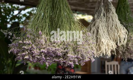 Mazzi di fiori secchi appesi Foto Stock