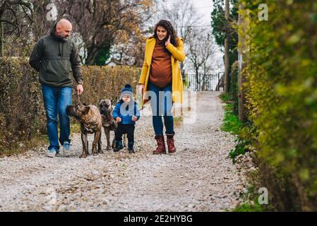 La famiglia sta prendendo un cane per una passeggiata e godendosi attività all'aperto Foto Stock