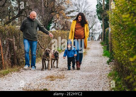 La famiglia sta prendendo un cane per una passeggiata e godendosi attività all'aperto Foto Stock