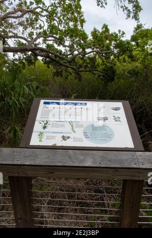 Ininvasive Exotics Sign, Mullet Creek Park, Safety Harbor, Florida Foto Stock