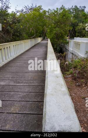 Ponte coperto Moss, Safety Harbor, Florida Foto Stock