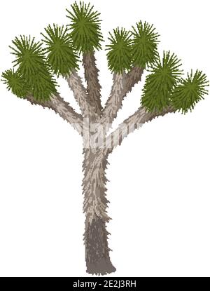 Joshua Tree isolato su sfondo bianco illustrazione Illustrazione Vettoriale