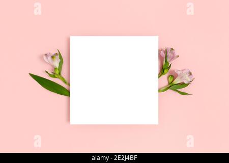Composizione con fiori e carta bianca su sfondo rosa pastello. Mockup carta Greetind. Foto Stock