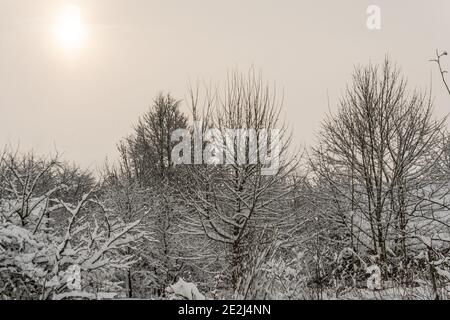 Case di villaggio innevate e alberi e sole invernale in cielo nuvoloso Foto Stock