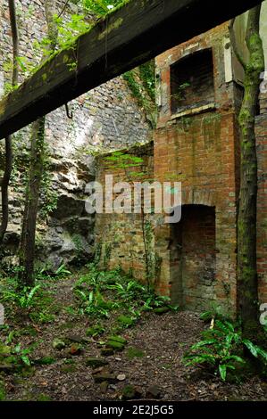 All'interno del vecchio Fussells Iron Works, Mells, Somerset, Inghilterra, Regno Unito Foto Stock