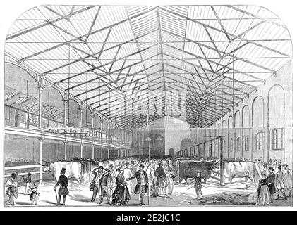 The Smithfield Prize Cattle Show, 1845. Fiera agricola a Londra. "Le disposizioni per l'esposizione hanno presentato quest'anno un carattere completamente nuovo; L'intero cortile del Bazaar Horse King Street, Baker-Street, 195 piedi Iong, di 50 piedi di larghezza, in precedenza solo temporaneamente coperto di tela, è stato, quest'anno, sormontato da un leggero ed elegante tetto in ferro teso, ben illuminato da una lanterna di cresta che si estende per tutta la lunghezza. Sul lato ovest, una spaziosa galleria, larga 40 metri, è stata aperta all'arena...tutti questi miglioramenti sono stati progettati e eseguiti sotto il Th Foto Stock