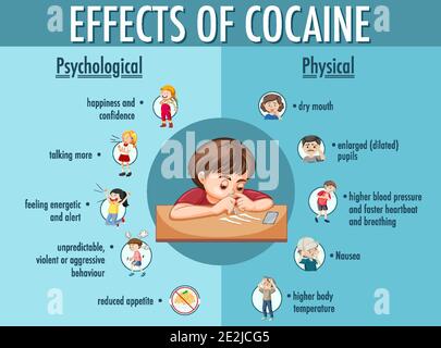 Effetti delle informazioni sulla cocaina illustrazione infografica Illustrazione Vettoriale