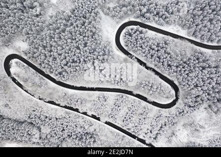 Strada curva a S nella vista aerea della foresta invernale. Vuota strada tortuosa circondata da alti pini. Foto Stock