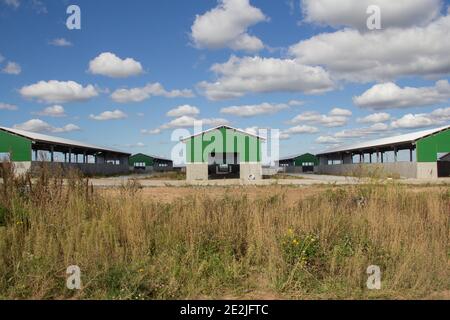 Magazzino Hangar. Costruzione di hangar da un telaio metallico e moderno materiale da parete da pannelli sandwich. Edifici prefabbricati da telaio e padella Foto Stock