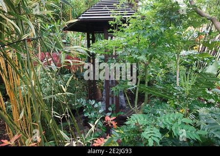 Piccola struttura giapponese con acqua d'ardesia nella "giungla" Al Four Seasons Garden a fine ottobre Foto Stock
