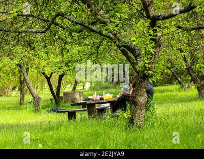 Un tavolo di legno e panchine sul prato in giardino botanico di primavera, la famiglia su un picnic in una bella giornata di primavera sotto l'albero verde Foto Stock