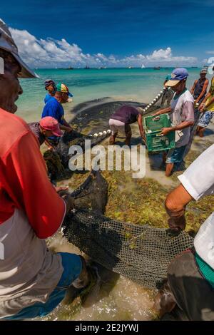 Pescatori che lavorano su una spiaggia a Maceió, Brasile Foto Stock