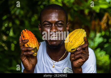 Cacao in Grenada Foto Stock