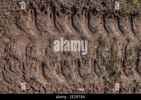 Guardando verso il basso sui cingoli del trattore o dell'apripista impressi nella fango in un cantiere lungo la strada su un giorno di sole Foto Stock