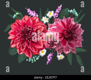 Splendido sfondo con delicato dipinto ad acqua di dahlias rosso e rosa. Disegno di stock. Foto Stock