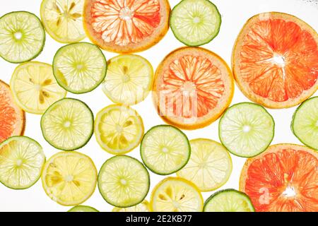 Citrus limoni retroilluminati Limes pompelmo Foto Stock