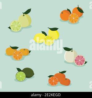 Agrumi - illustrazione vettoriale Illustrazione Vettoriale