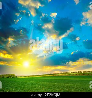 Cielo incredibilmente luminoso sul campo verde della fattoria. Foto Stock