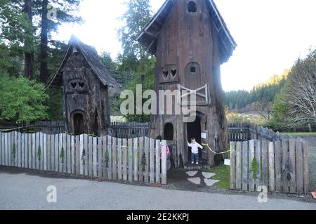 Il santuario Drive-Thru Tree attrae i visitatori da anni. Situato a Myers Flat, sei chilometri circa a sud dell'Humboldt Redwoods state Park Visitor Foto Stock