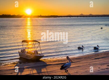 tramonto sul Pumicestone Passage a Bongaree, Isola di Bribie, Queensland, Australia Foto Stock