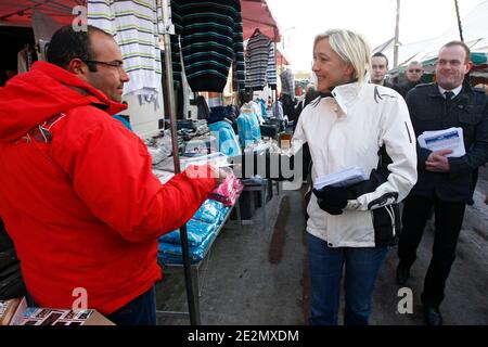 Marine le Pen, deputee europeenne et numero 2 du parti d'Extreme droite Front National (FN), distributive des tracts sur le marche en compagnie de Steve Briois pendant leur campagne pour les elections regionales a Henin-Beaumont, nord de la France, le 12 fev Foto Stock