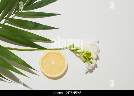 Composizione tropicale estiva fatta con foglie di palma verdi, fiori bianchi e fetta di limone su sfondo bianco. Posa piatta minima. Foto Stock
