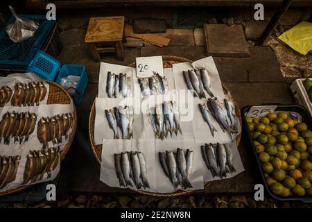 Lotti di pesci colorati attendono i clienti al Train Market in Thailandia Foto Stock