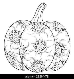 Zucca vettoriale Doodle con divertente ornamento fiorito. Illustrazione autunnale disegnata a mano per disegno antistress di adulti e bambini. Bella attività di svago Illustrazione Vettoriale