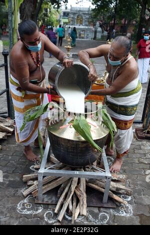 Colombo, Sri Lanka. 14 gennaio 2021. La gente si prepara a cucinare Pongal durante il festival di Thai Pongal a Colombo, Sri Lanka, il 14 gennaio 2021. La gente celebra il Pongal tailandese durante la stagione della vendemmia per ringraziare il sole per aver dato loro un buon raccolto. Credit: Ajith Perera/Xinhua/Alamy Live News Foto Stock