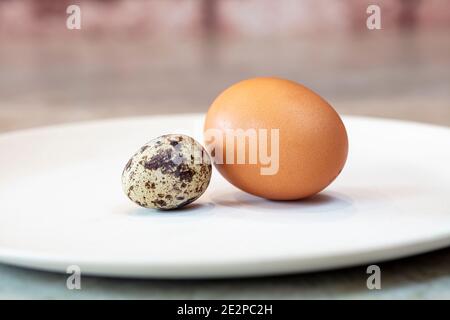 Un uovo di quaglia bianco e beige e un marrone uovo di pollo su un piatto bianco Foto Stock