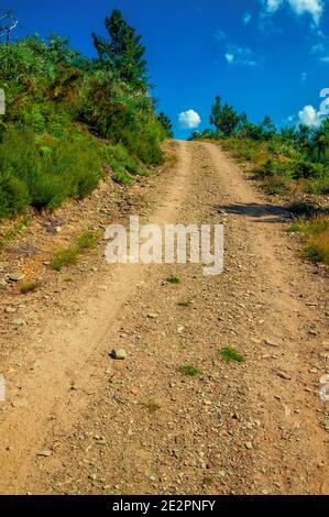 Strada sterrata che attraversa terreni collinari con alberi sugli altipiani della Serra da Estrela. La più alta catena montuosa del Portogallo continentale. Foto Stock