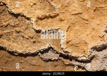 WY02857-00...WYOMING - modelli nelle terrazze inferiori delle sorgenti termali di Mammoth nel Parco Nazionale di Yellowstone. Foto Stock