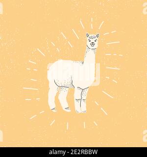 Lama decorativa. Cute bianco lama o alpaca su sfondo giallo. Disegno a mano vettoriale per disegno, cartolina, adesivi. Illustrazione Vettoriale