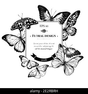 Design distintivo con imperatore blu bianco e nero, Menelaus blu morfo, blu morfo, lacewing rosso, coda di rondine gigante africano, grande punta arancione, pianura Illustrazione Vettoriale