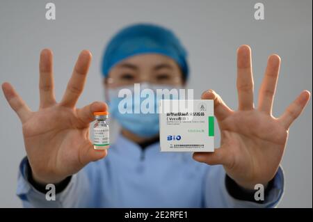 Taiyuan, Cina. 14 gennaio 2021. 80 migliaia di persone hanno vaccinato il vaccino COVID-19 e nessuno ha la grave reazione avversa a Taiyuan, Shanxi, Cina il 14 gennaio 2021.(Photo by TPG/cnsphotos) Credit: TopPhoto/Alamy Live News Foto Stock