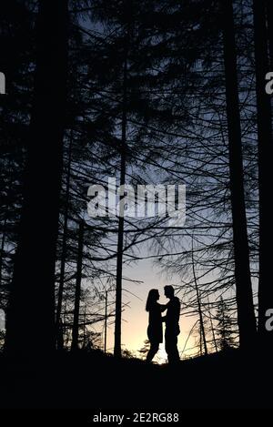 Silhouette di coppia di amanti che si guardano l'un l'altro sotto grandi alberi di pino al tramonto. Tramonto sfumato arancione. Serata romantica nella foresta Foto Stock