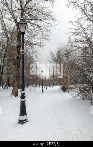 Strada innevata nel parco invernale con luci di strada. Foto Stock