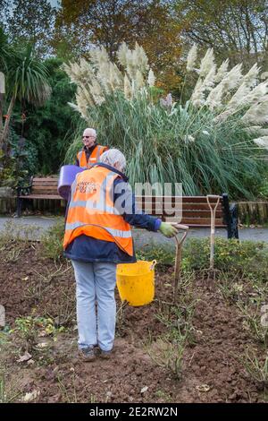 Volontari del gruppo di giardinaggio Newquay in Bloom che lavorano in Giardini di Trenance a Newquay in Cornovaglia Foto Stock