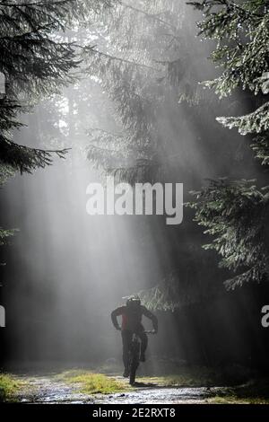La luce del sole scorre attraverso gli alberi mentre un uomo corre su una mountain bike elettrica lungo una strada sterrata vicino a Innerleithen, confini scozzesi. ebike Scotland Foto Stock