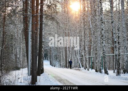 Alberi innevati in un parco invernale. Il sole è visibile attraverso i rami degli alberi. Sfondo invernale. Foto Stock