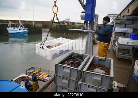 Pittenweem, Scozia, Regno Unito. 15 gennaio 2021. Molluschi freschi, granchi e aragoste sbarcati questa mattina al porto di Pittenweem a Fife. Il pescatore Nick Irvine ha due barche che pescano crostacei, gamberi, granchi di velluto, granchi marroni e aragoste. Gran parte del suo pescato viene esportato in Asia ed è occupato in questo periodo dell'anno a causa del prossimo anno nuovo cinese che aumenta la domanda e i prezzi. Ciò ha contribuito a compensare i problemi di esportazione nell'UE a causa di nuove normative. Iain Masterton/Alamy Live News Foto Stock