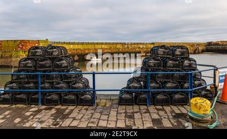 Dunbar Harbour, East Lothian, Scozia, Regno Unito, 15 gennaio 2021. Industria della pesca: Victoria Harbour, il porto principale della città, è vuoto con pile di pentole di aragosta sulla banchina Foto Stock