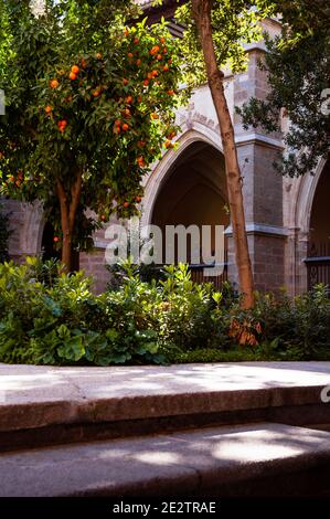 Ingresso in alto arco gotico ai chiostri della cattedrale di Toledo, Toledo, Spagna. Foto Stock